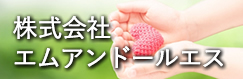 株式会社エムアンドールエス
